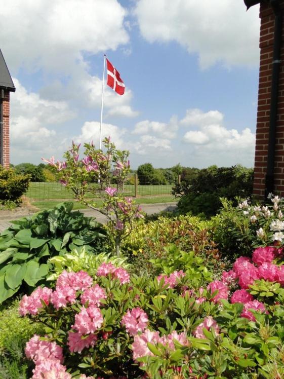 Lyngvej 16 B&B Skanderborg Buitenkant foto