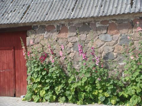 Lyngvej 16 B&B Skanderborg Buitenkant foto