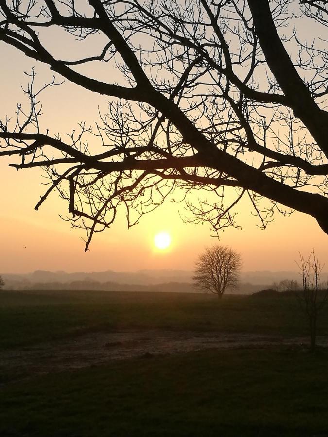 Lyngvej 16 B&B Skanderborg Buitenkant foto