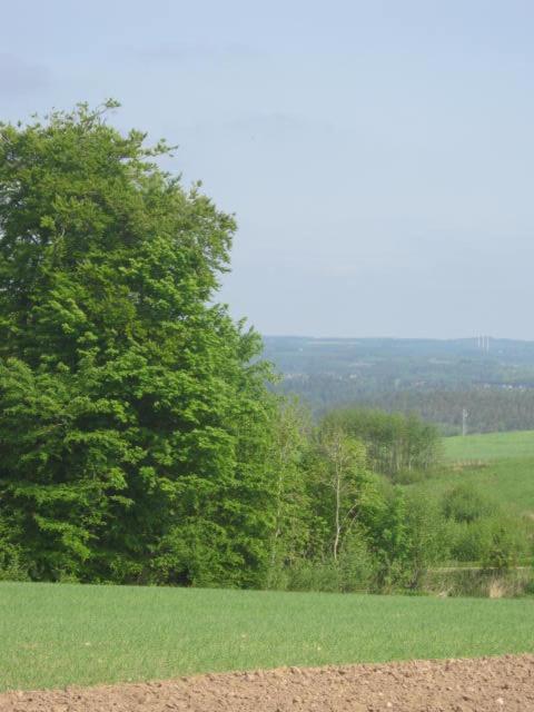 Lyngvej 16 B&B Skanderborg Buitenkant foto
