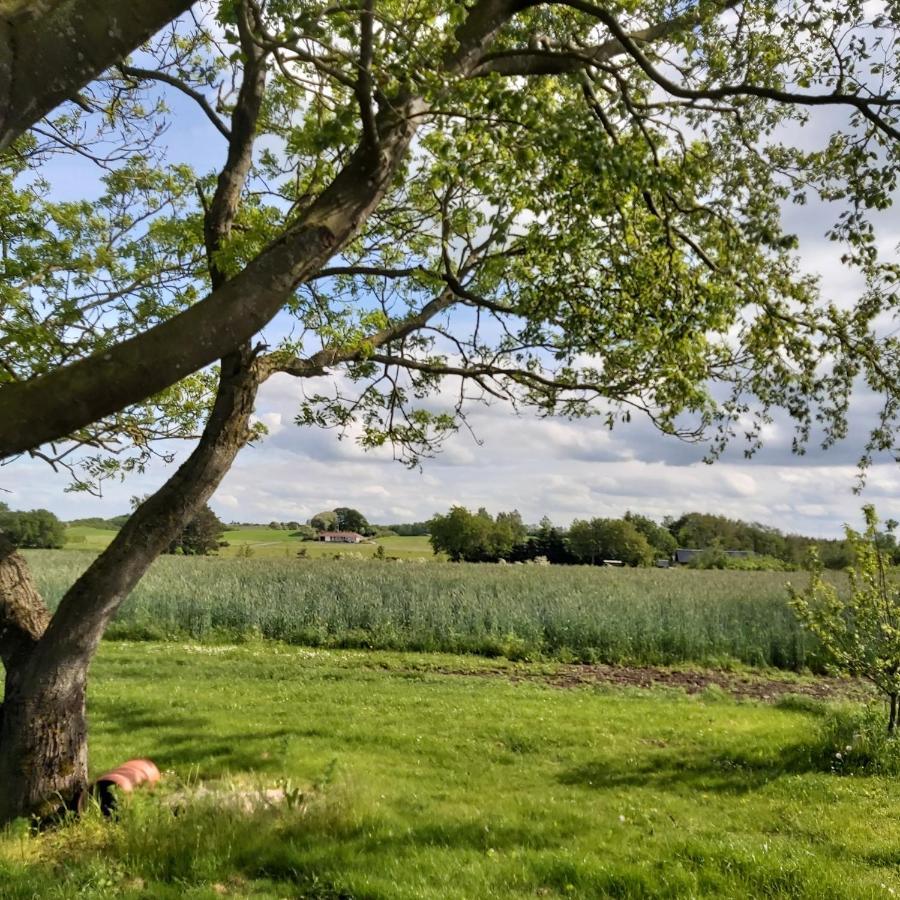 Lyngvej 16 B&B Skanderborg Buitenkant foto